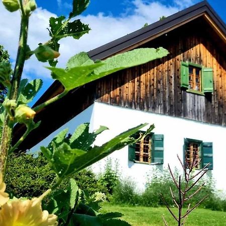 Estate Ana Ptuj Exterior foto